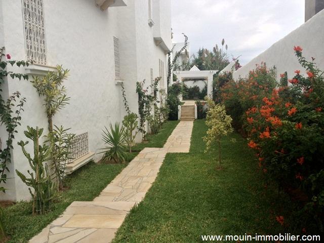 Photo villa cactus AV069 yasmine hammamet image 4/6