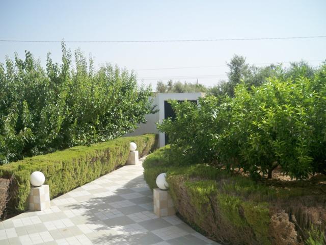 Photo villa el borj AV813 ariana tunis image 4/6