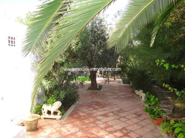 Photo villa l'olivier AL1173 zone théatre hammamet image 4/6