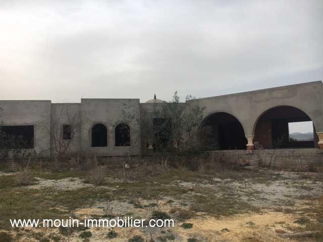Photo VILLA OEDIPE 2  Hammamet Sud - Dwikhla AV1429 image 4/4