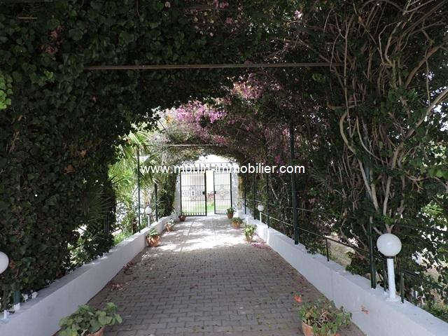 Photo Villa Romana AL1326 Hammamet zone theatre image 4/6