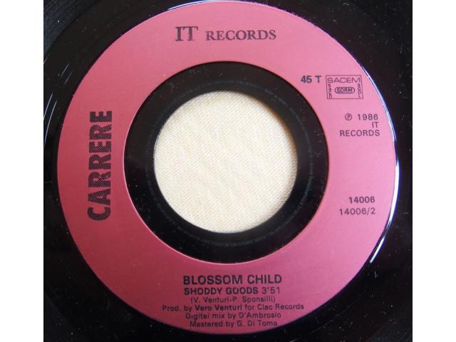 Photo Vinyl BLOSSOM CHILD image 4/4