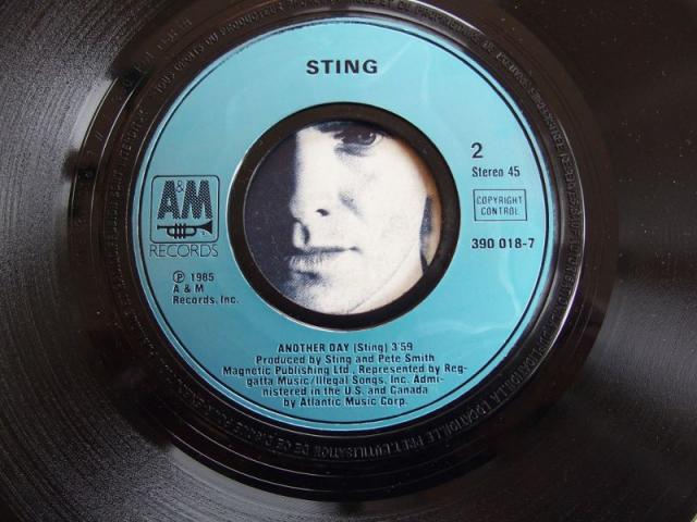 Photo Vinyl STING image 4/4