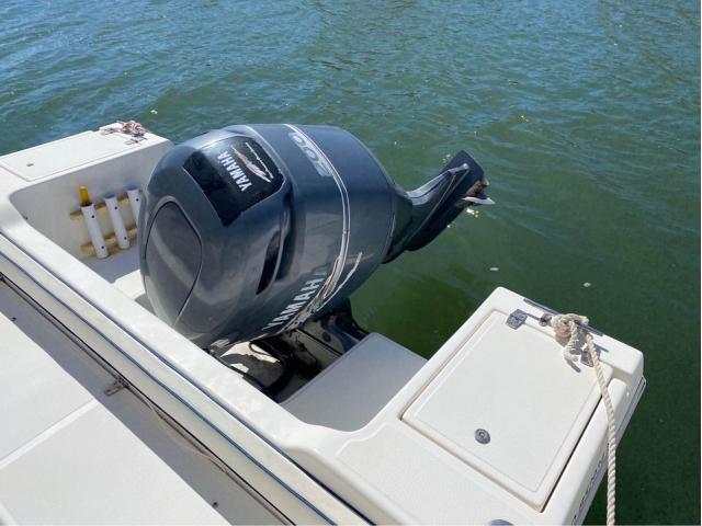 Photo WHITE SHARK 236 image 4/6