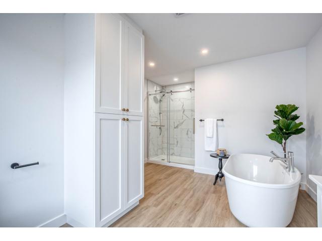 Photo 2 MOIS GRATUITS Grand 5 1/2 LIBRE (La Présentation, Quebec) image 5/6