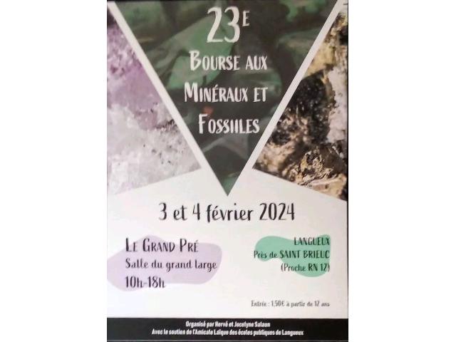 Photo 23ème Salon exposition de minéraux et fossiles de Langueux Côtes D’Armor image 5/6