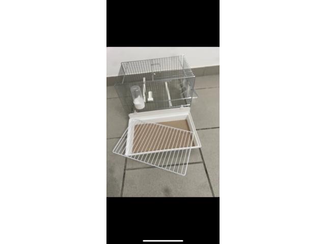 Photo 6 cages de chant Donus comme neuf image 5/6