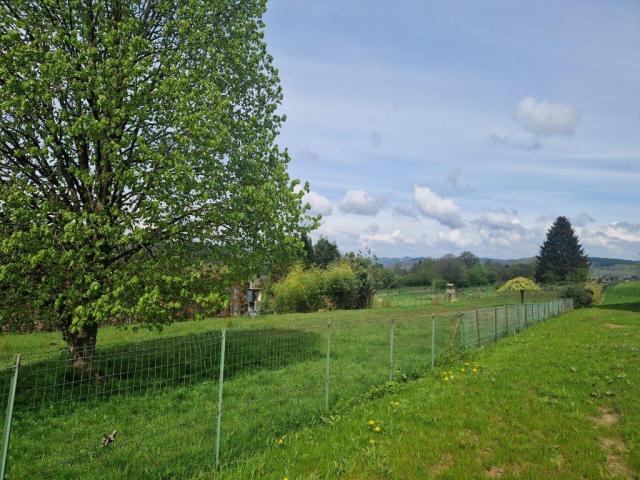 Photo 6687 HERBEUMONT : Terrain à bâtir, 22a30ca, belle vue. image 5/5