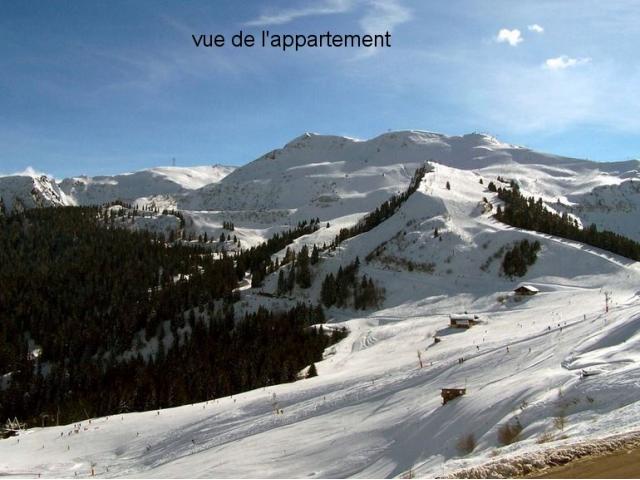 Photo A Samoens, louer T2 ski au pied à 1600m altit image 5/6