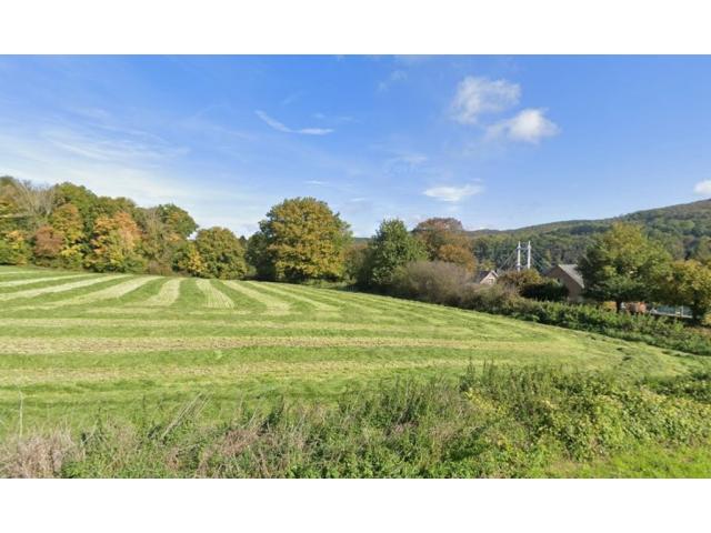 Photo Agimont : beaux terrains, +- 55 ares, situés dans une rue très calme. image 5/6