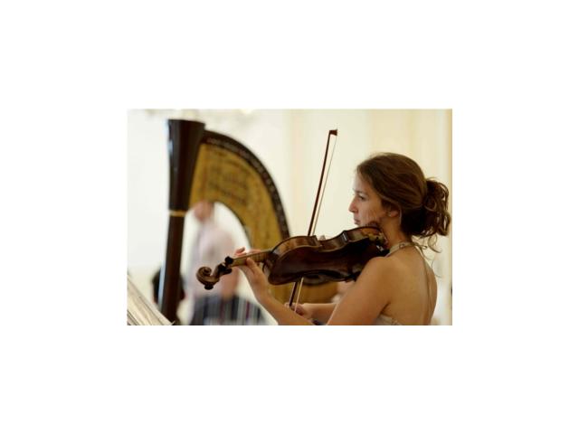 Photo Animations de mariages : Harpe et Soprano lyrique image 5/6