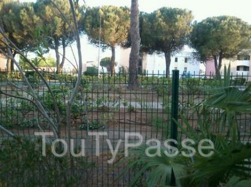 Photo appartement RC bord de mer image 5/6