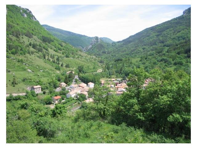 Photo Aude Rébenty Joucou Bois Taillis Résineux image 5/6