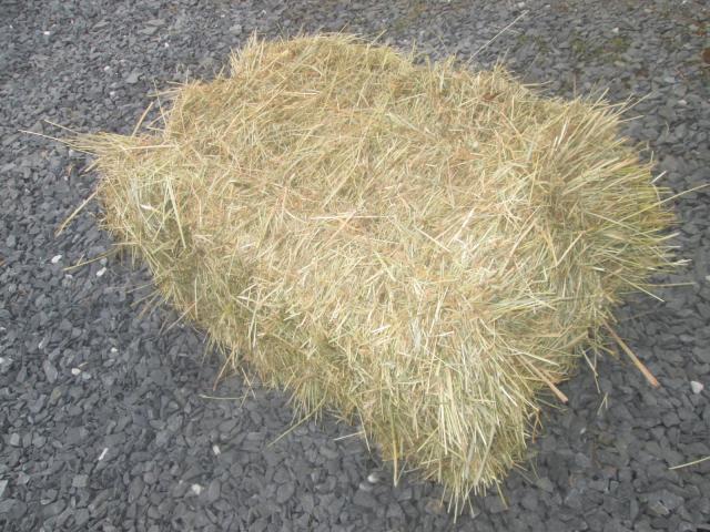 Photo Ballot de foin image 5/5