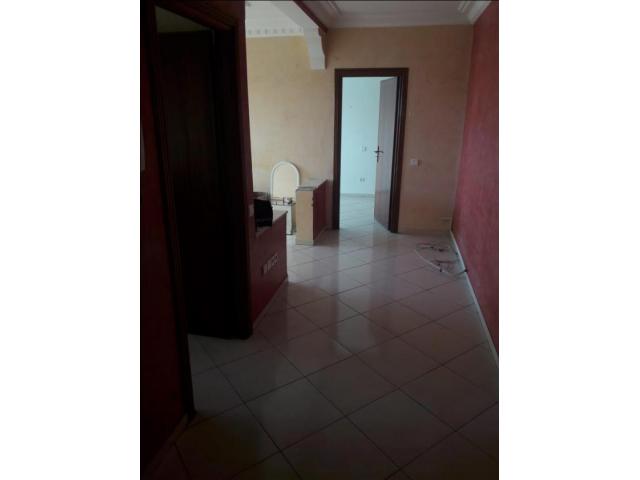 Photo BEL Appartement en location belvédère de 50m image 5/6
