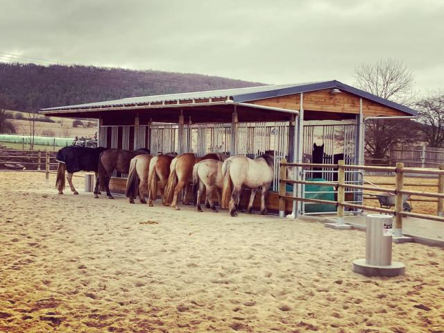 Photo Box extérieur pour chevaux et Box pour chevaux Abri pour chevaux image 5/6