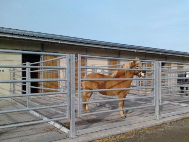Photo boxes/pension chevaux et poneys image 5/6