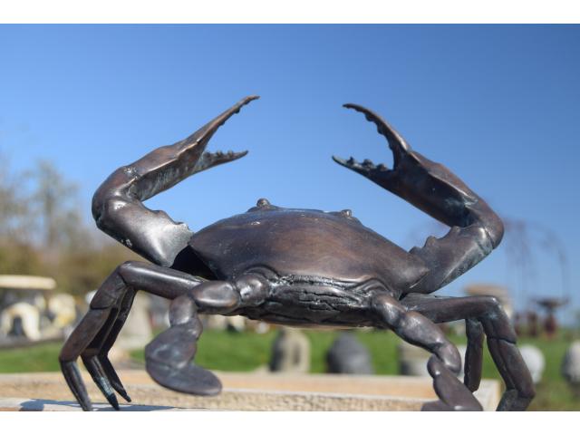 Photo Bronze animalier (le crabe) image 5/6