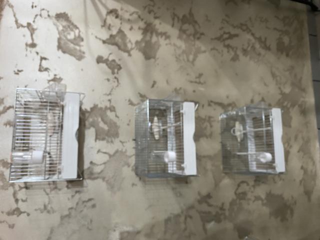 Photo Cage de chant comme neuf image 5/6