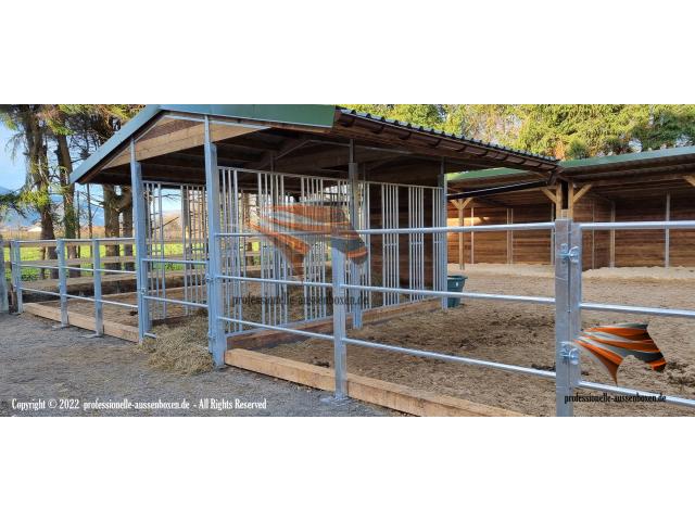 Photo Clôtures et enclos robustes pour Chevaux & Paddocks, manèges, Boxes et Abris sécurisés image 5/6