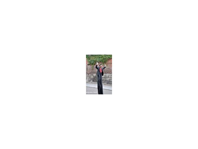 Photo Clown anniversaire, mime, statue vivante, échassier, faux serveur, artisste de rue, animations déamb image 5/6