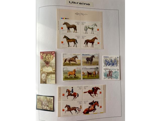 Photo Collection de timbres: thématique chevaux - 150 pages image 5/6