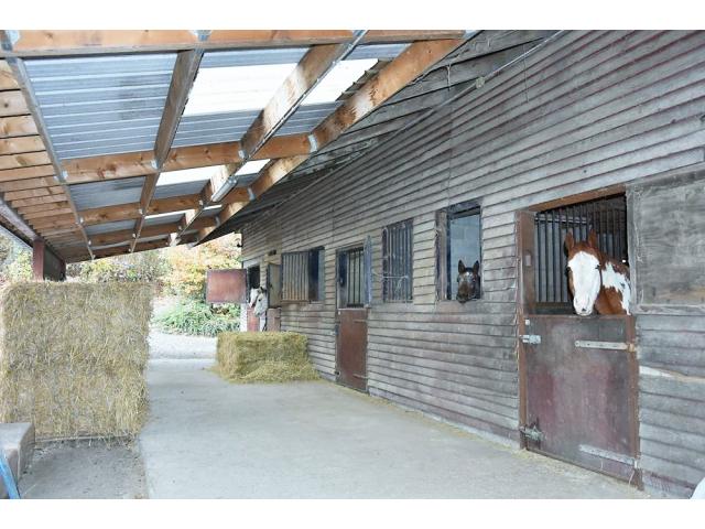 Photo Complexe Equestre image 5/5