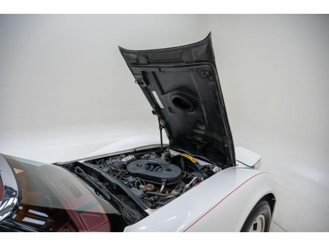 Photo Corvette C3 '82 CH3670 image 5/6