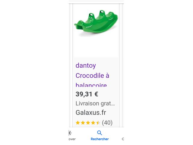 Photo Crocodile Dantoy image 5/5