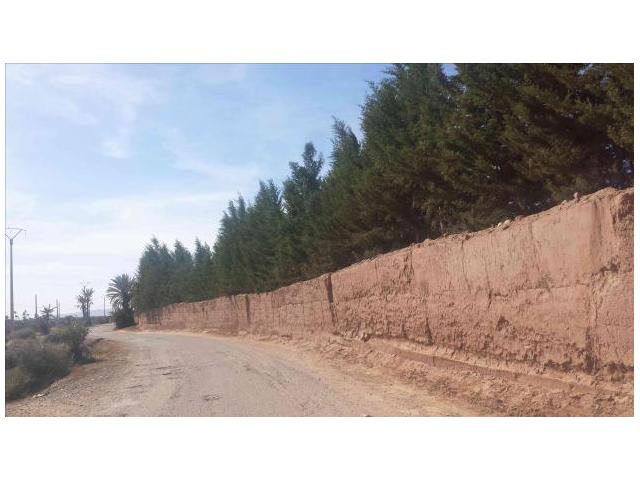 Photo ferme 4 hectares titrés sur la Route de fes image 5/6