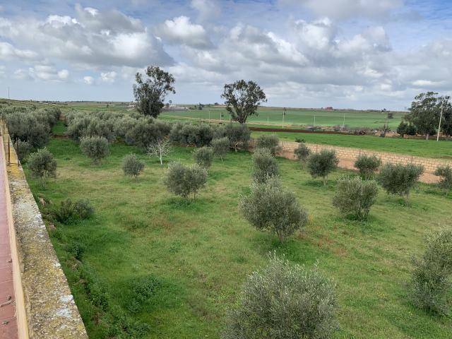 Photo ferme a vendre au Maroc image 5/6