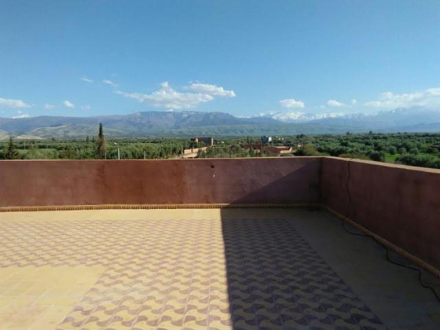 Photo Ferme a vendre region Marrakech image 5/6
