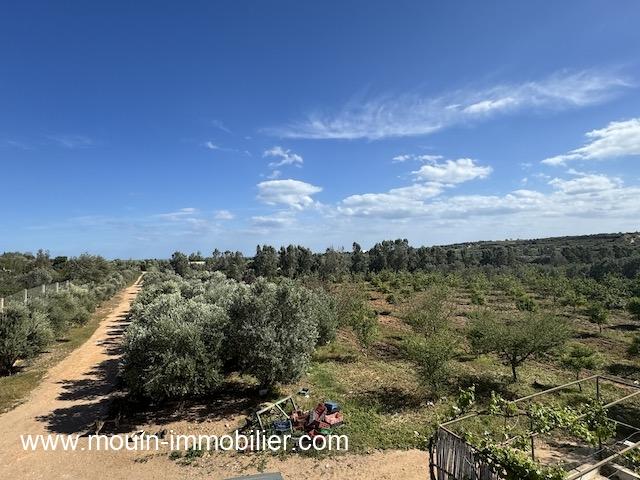 Photo FERME LES EMERAUDES Somaa Beni Khiar T1137 image 5/6