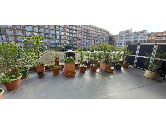Photo Flat meublé 54 m2 rez de chaussée -1080 Bruxelles. image 5/6