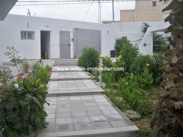 Photo flora hause AV763 saukra tunis image 5/6