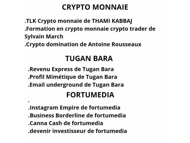 Photo Formation E-commerce , Trading, Affiliation, immobilier, crypto image 5/6