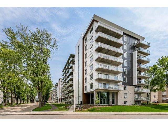 Photo Grand condo 1 chambre Voisin de l'Université Laval (Quebec) image 5/5
