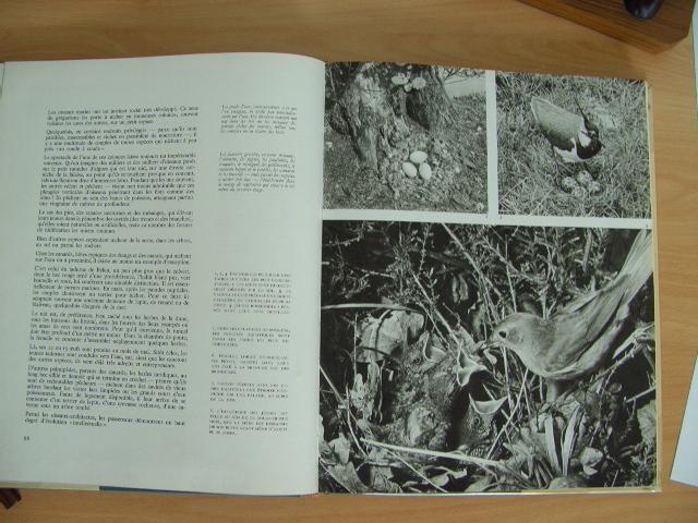 Photo HARMONIES UNIVERSELLES. image 5/5