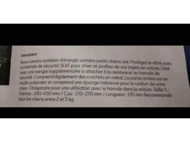 Photo Harnais de sécurité pour petit chien image 5/5