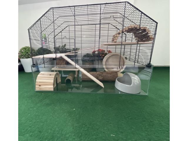 Photo Kit complet pour Hamster (Hamster russe/Utilitaires/Habitat) image 5/6