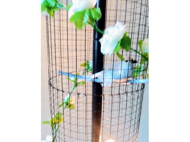 Photo Lampe volière noire, blanche, cage oiseaux, fleurs image 5/6