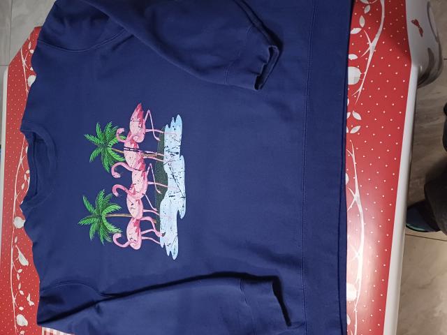 Photo Lot vêtement Femme image 5/6