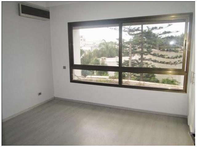 Photo Magnifique Appartement sur Racine image 5/6
