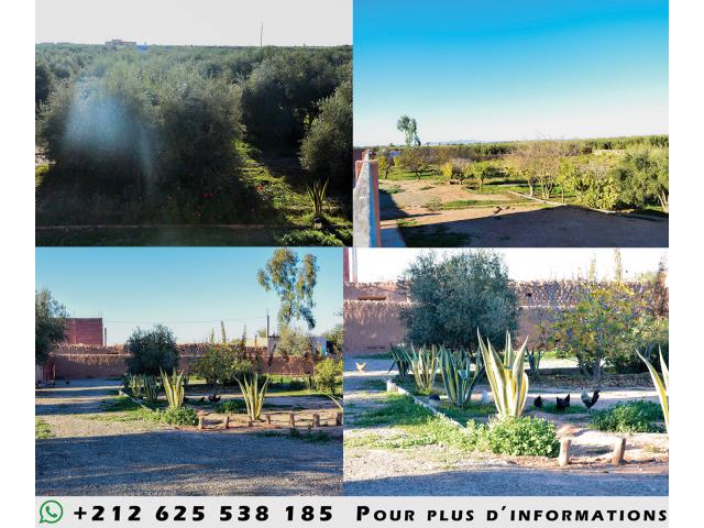 Photo Magnifique ferme à marrakech avec villa a louer sur un terrain de 20000 m2 image 5/6