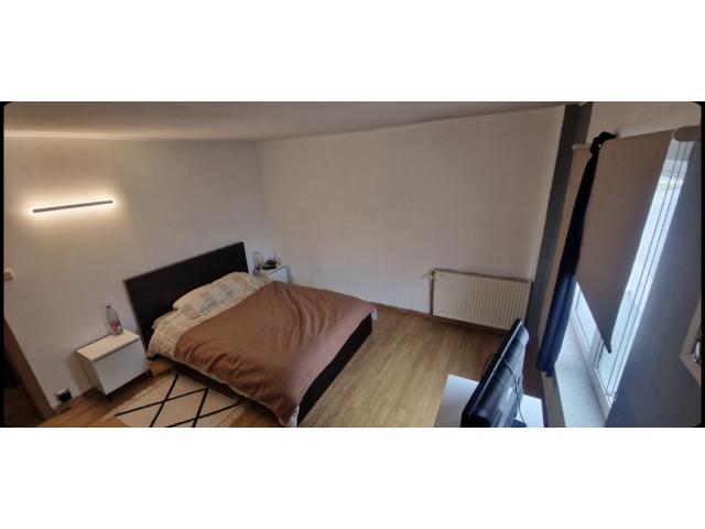 Photo Maison à vendre à Ellezelles image 5/6