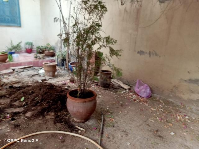 Photo maison en location à la route de l'ourika image 5/5