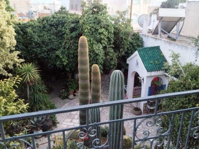 Photo maison jolie AV162 hammamet image 5/6