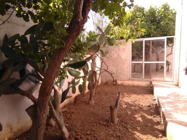 Photo MAISON S+3 AVEC JARDIN + APPARTEMENT S+3 A MREZGUA HAMMAMET image 5/6