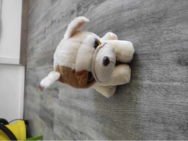 Photo Nounours de toute sorte et de taille image 5/6