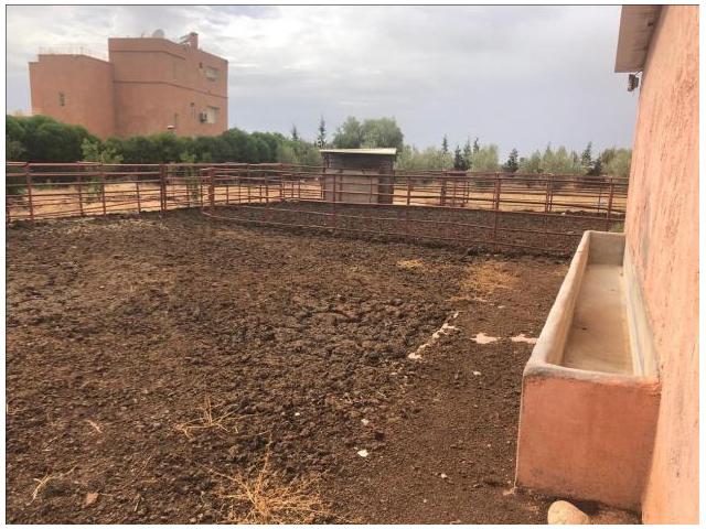 Photo olie petite ferme de 5200 M²  en vente sur la route de ait ourir. image 5/6